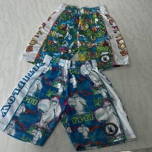 Flow Society Colorful Kid Shorts
